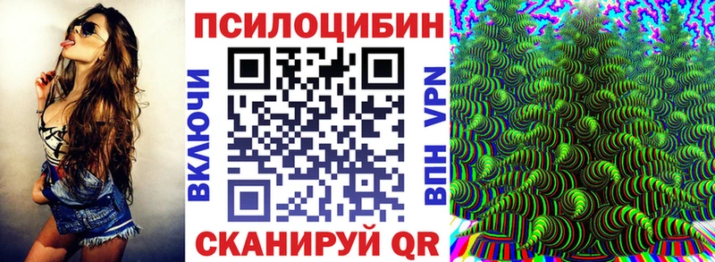 Галлюциногенные грибы Psilocybine cubensis  Калининград 
